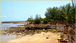 East Point Reserve 